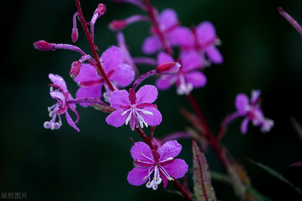 聊天不合适如何化解尴尬,聊天没有话题如何防止尬聊