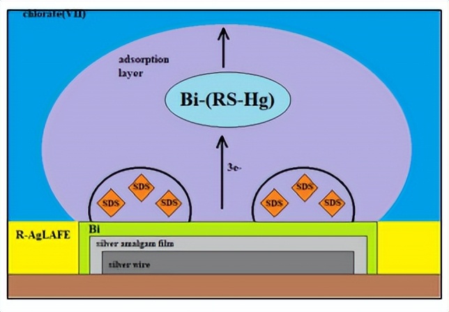 混合TC离子吸附层，对Bi（III）离子电还原动力学和机理的影响