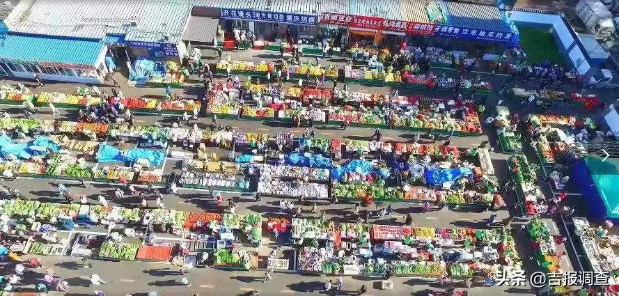 长春农贸批发市场改造,长春菜市场改造方案