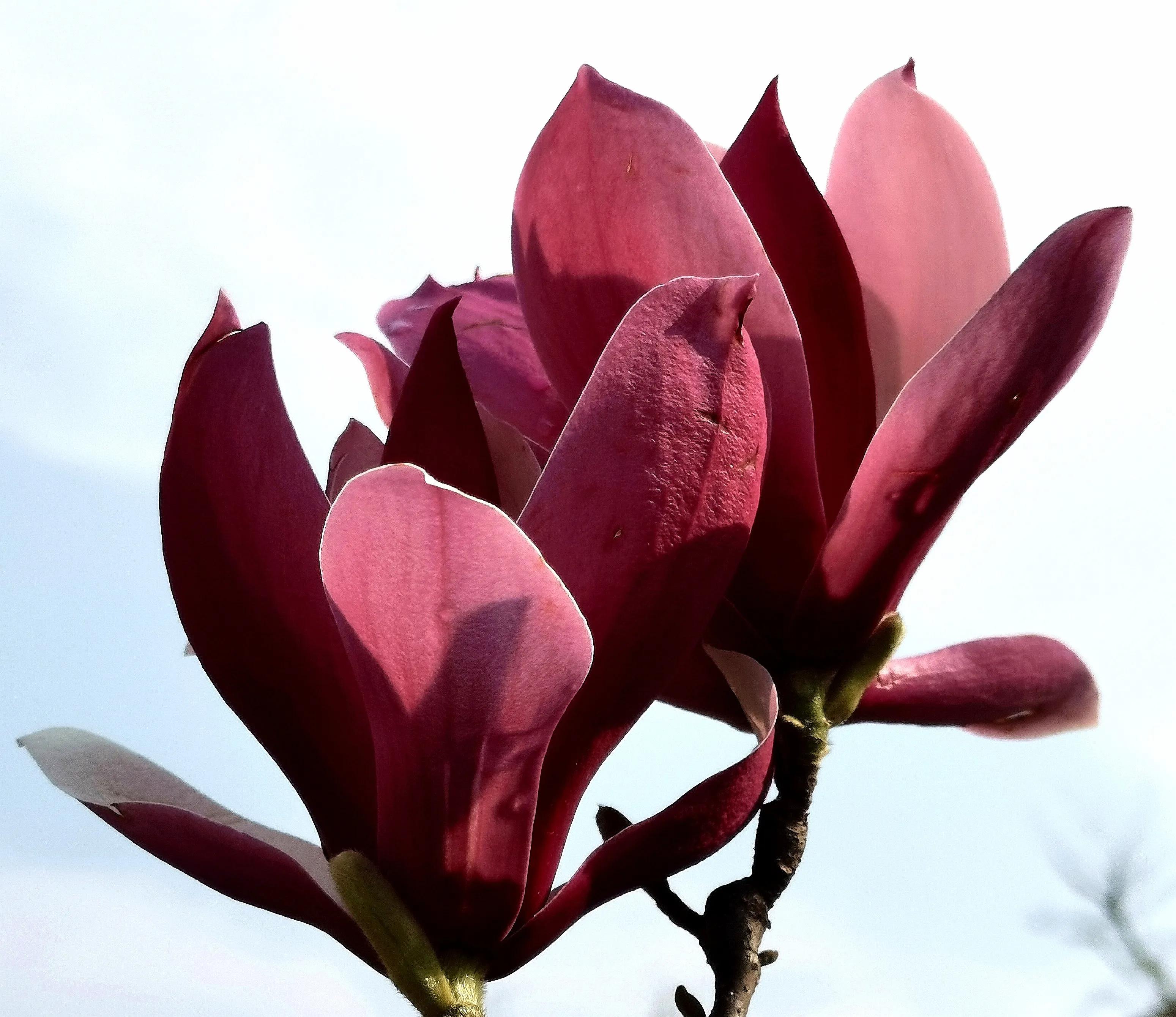 当一个科室主任要有的条件,当办公室主任要面临的问题