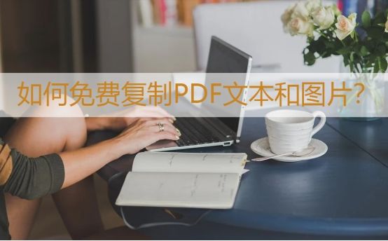 pdf文本如何复制粘到word,怎样正确复制pdf里的参考文献
