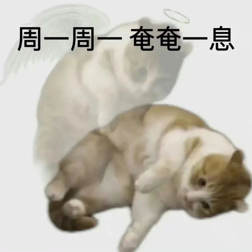 有多少人借着酒劲说出真心话,有多少人借着酒意