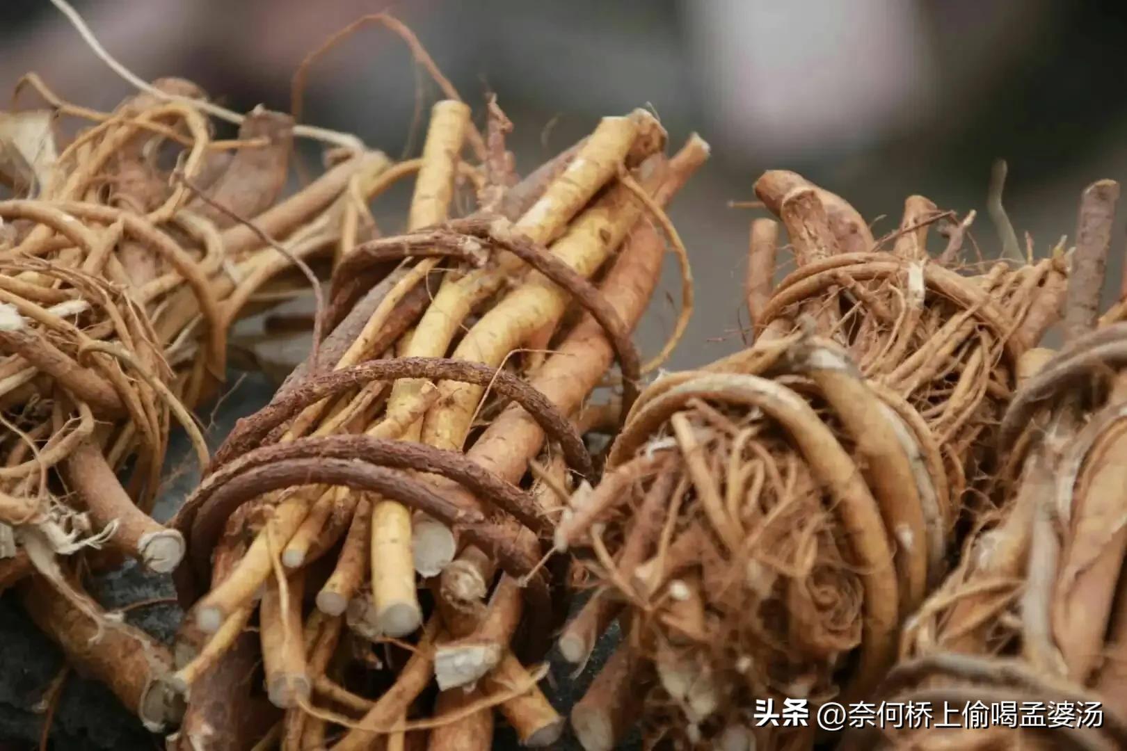 河源最正宗五指毛桃香鸡的做法,河源最正宗五指毛桃鸡