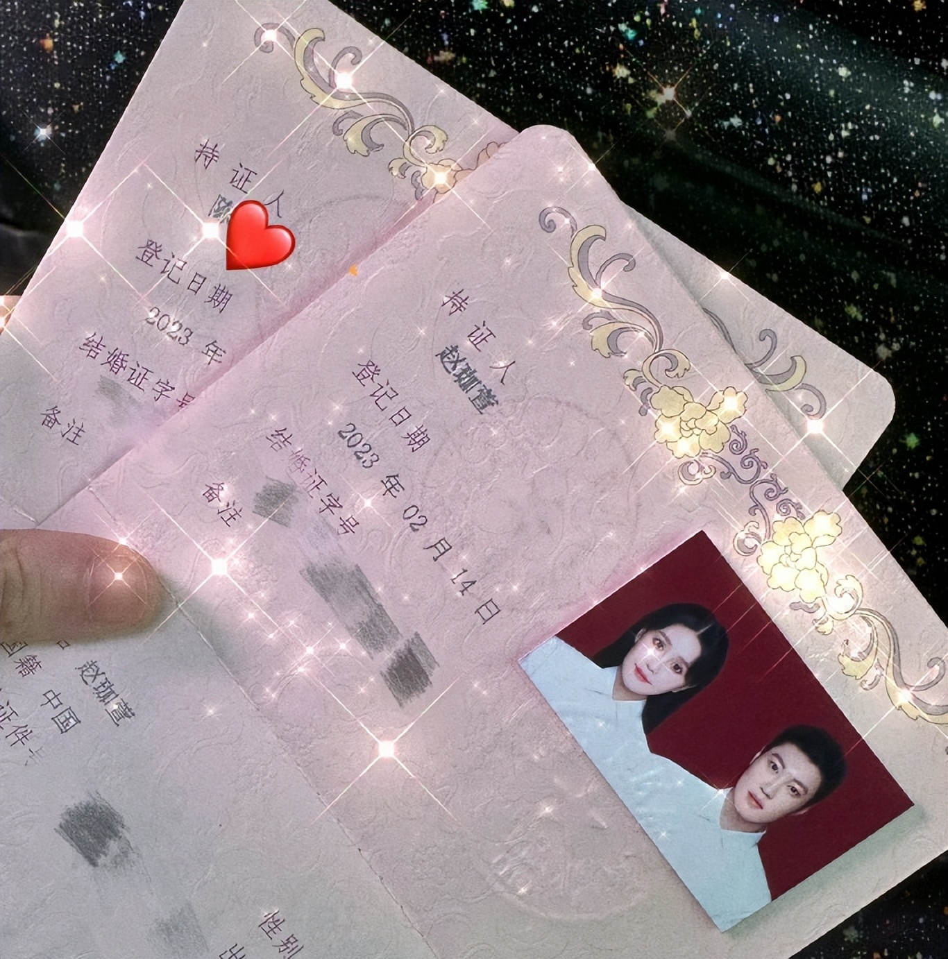 胡杏儿向太,向太胡杏儿