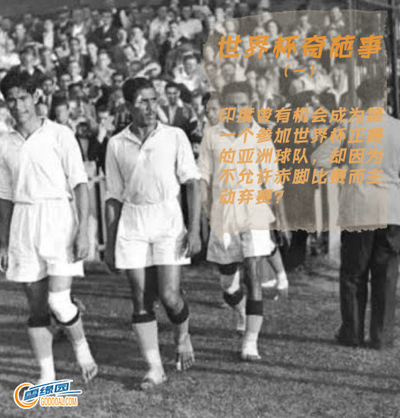 世界杯奇葩参赛故事,世界杯上最奇葩的事情视频