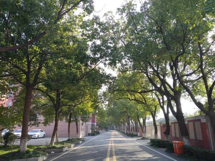 画与景,幼儿长卷画景