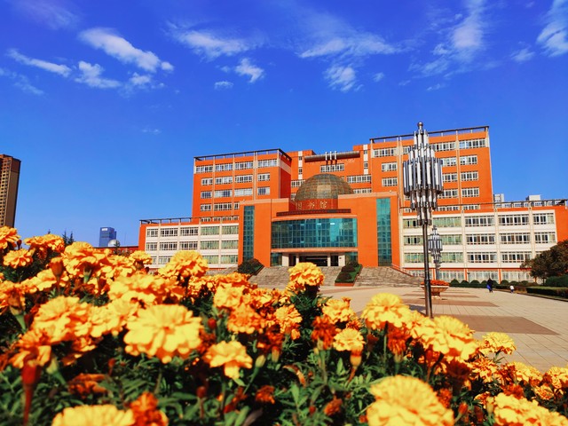 双一流985211大学哪个好,双一流985和211总共有多少所学校