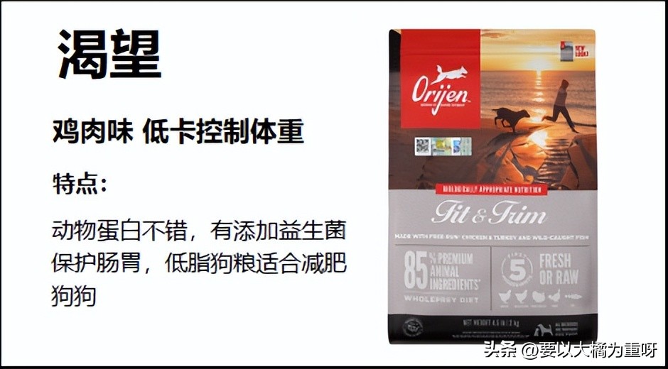 泰迪老年狗粮排行榜前十名,泰迪幼犬狗粮哪种好