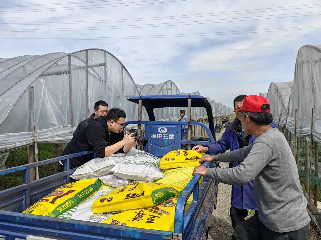 新洋丰肥业复合肥料,洋丰肥料和新洋丰有什么区别