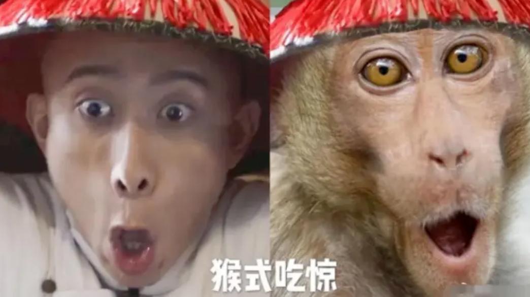 内娱猴哥是谁,内娱五大名猴