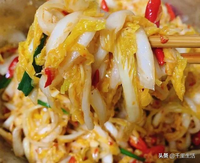 云南高山黄心白菜娃娃菜,云南哪里种娃娃菜