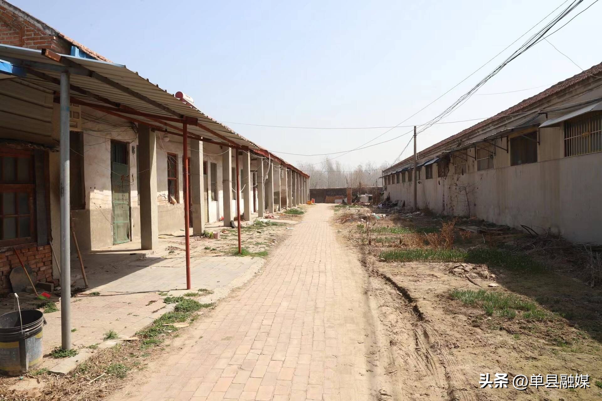 魏传永带队招商,单县魏传永最新消息