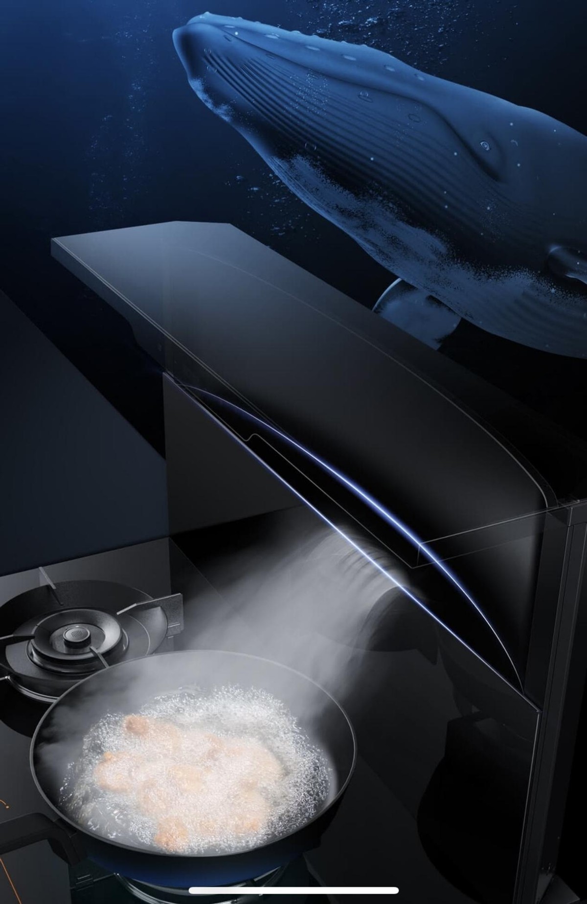 12年高端集成灶,一款经济实惠的蒸烤集成灶推荐