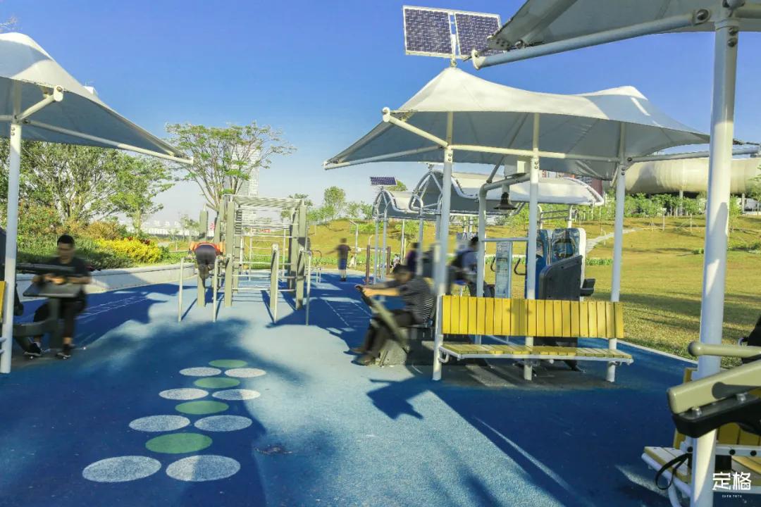雨林打卡网红地滑梯,深圳哪里有超大型滑梯