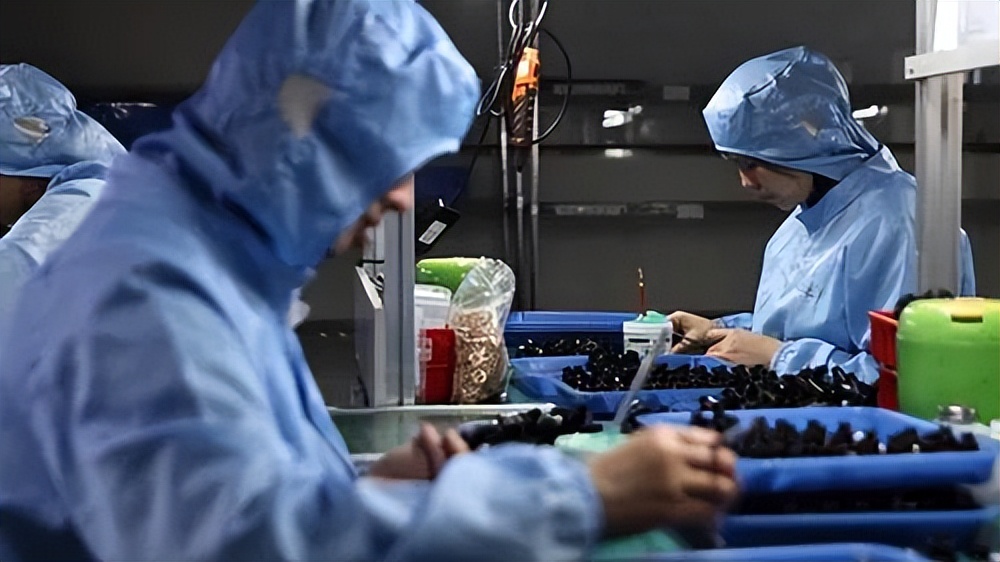 推进民营经济高质量发展|高科技企业三明福特科光电：越创新越闪亮