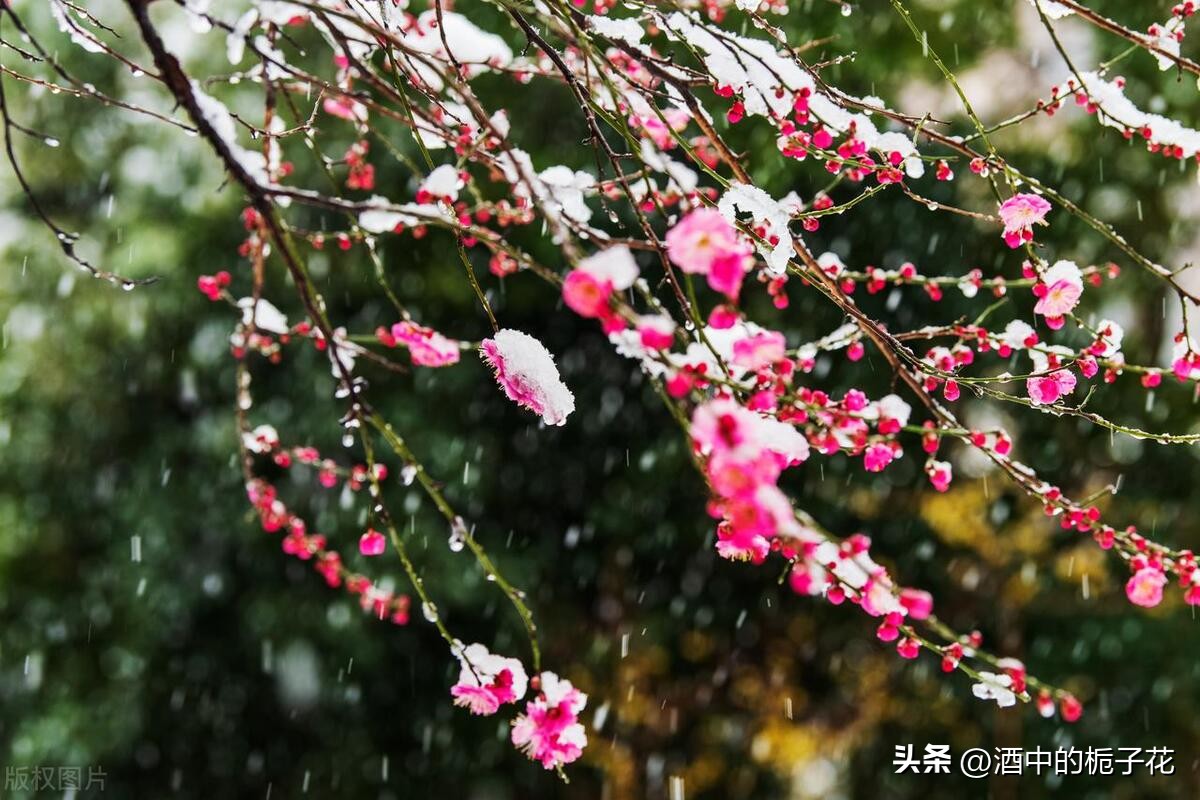 未来三天财运爆棚的三大生肖,财库大开运势吉星加护四大生肖