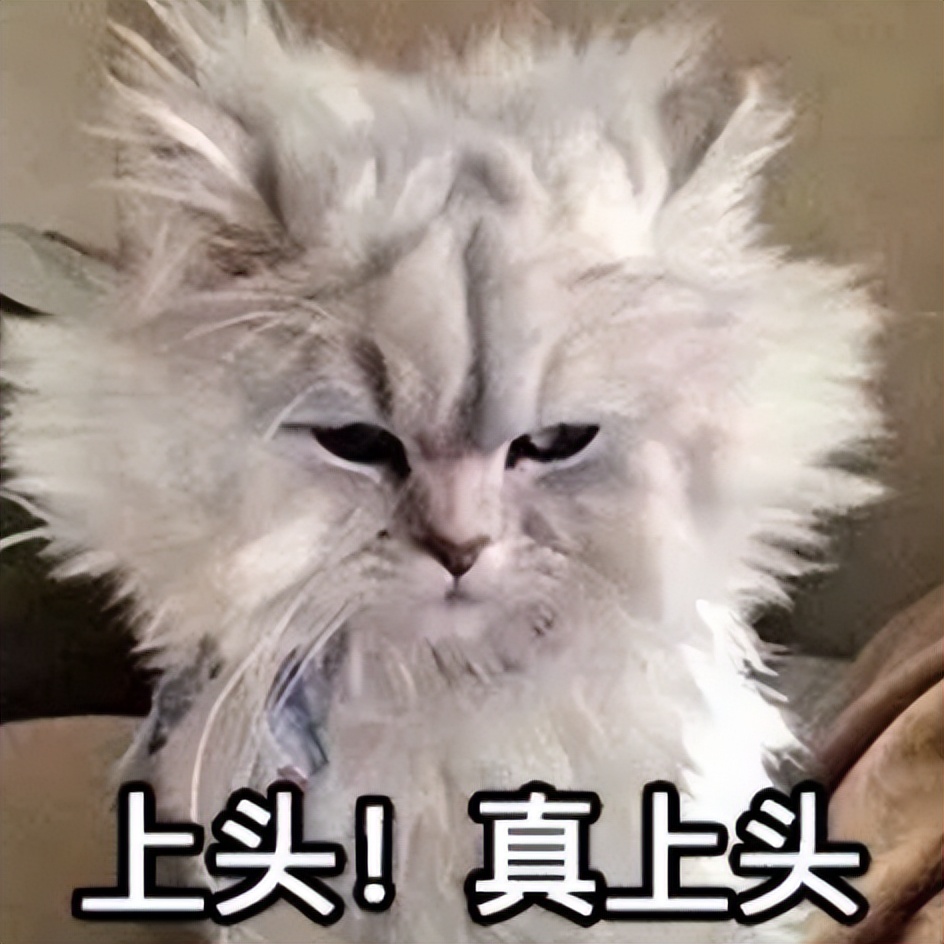 加入小区闲置群，我卸掉了淘宝和抖音，还治好了精神内耗