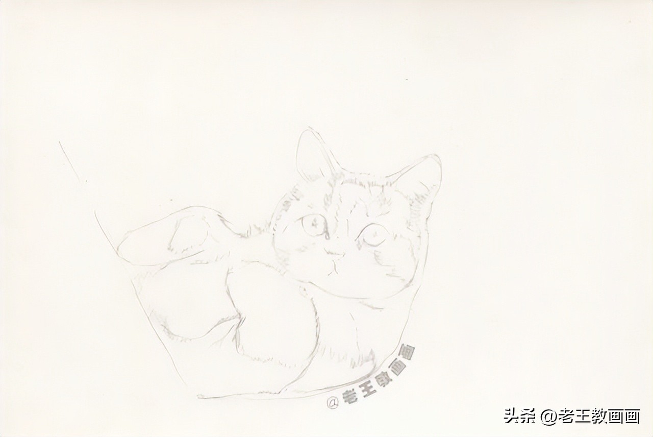 彩铅零基础入门学画猫咪,彩铅画教程入门零基础猫咪