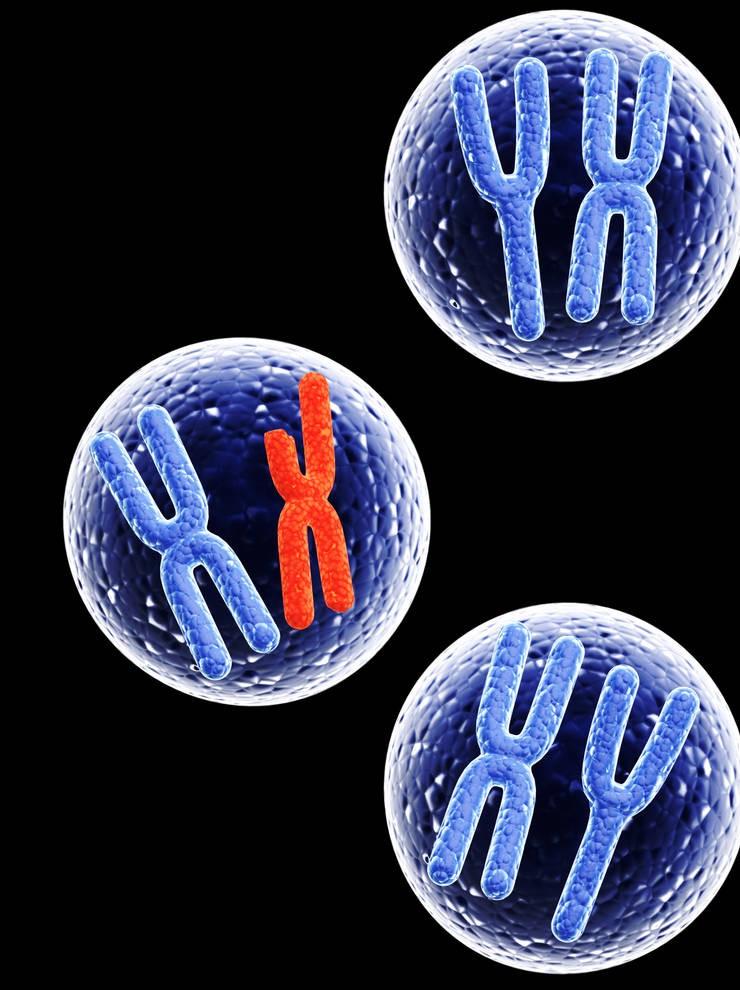 宝鸡发现一例稀有血型,陕西宝鸡18岁女孩罕见的血型
