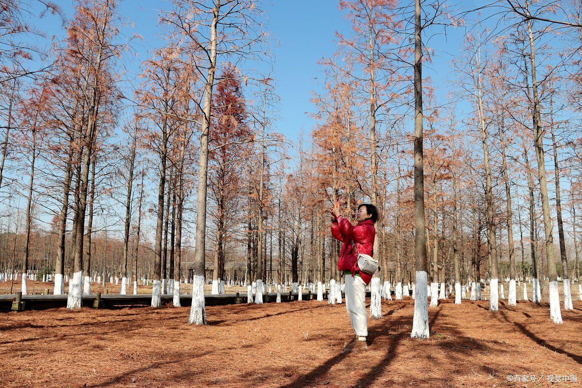 常州必去的13个免费景点夜景,常州必去的十大网红景点