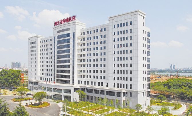 华中科技大学的10家医院
