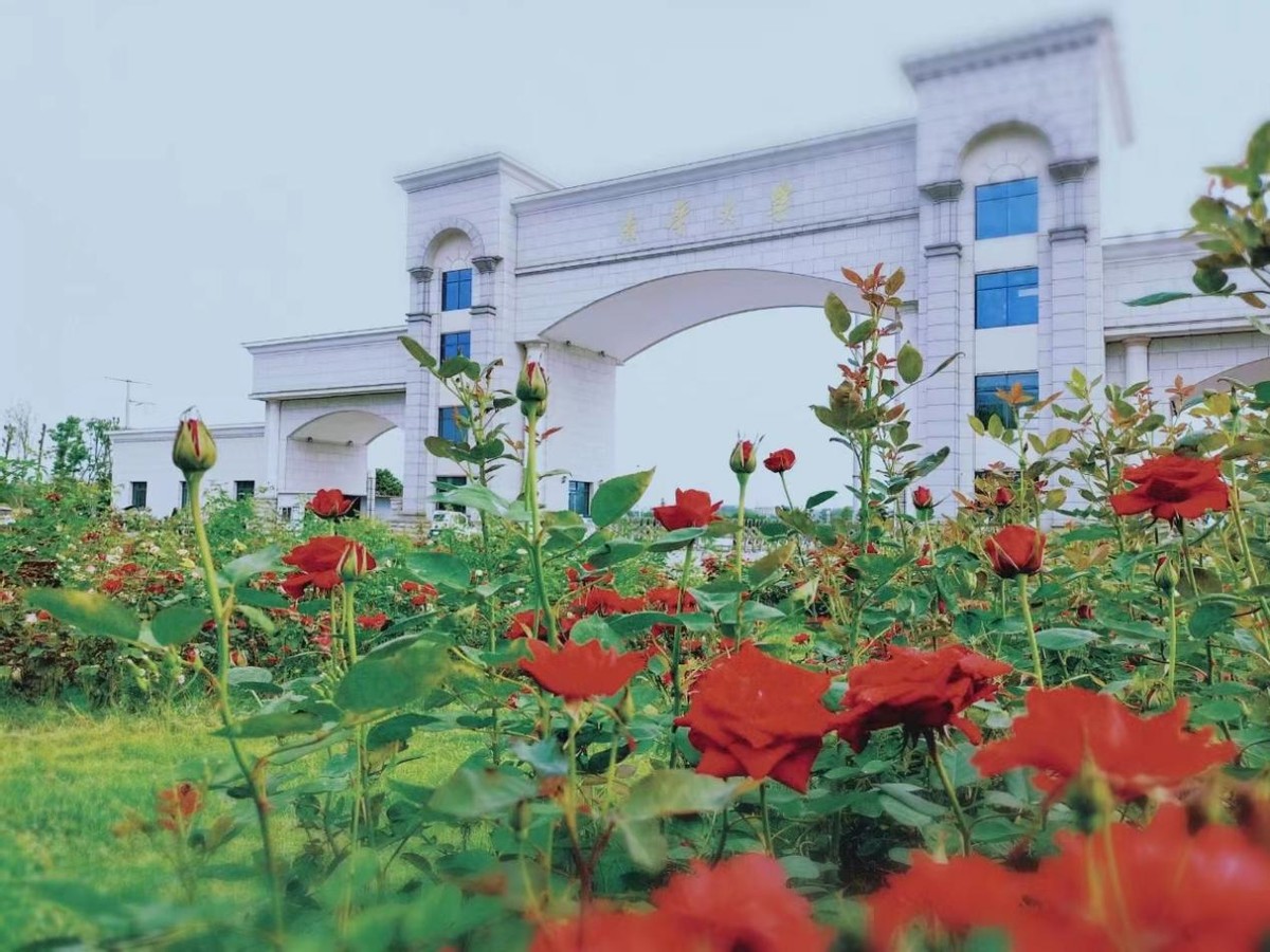 东华西华南华北华四所大学比较,东华南华西华北华哪个大学好