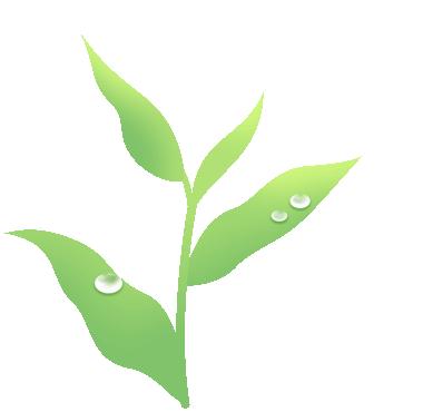 黔茶飘香2017,黔茶飘香都匀毛尖茶