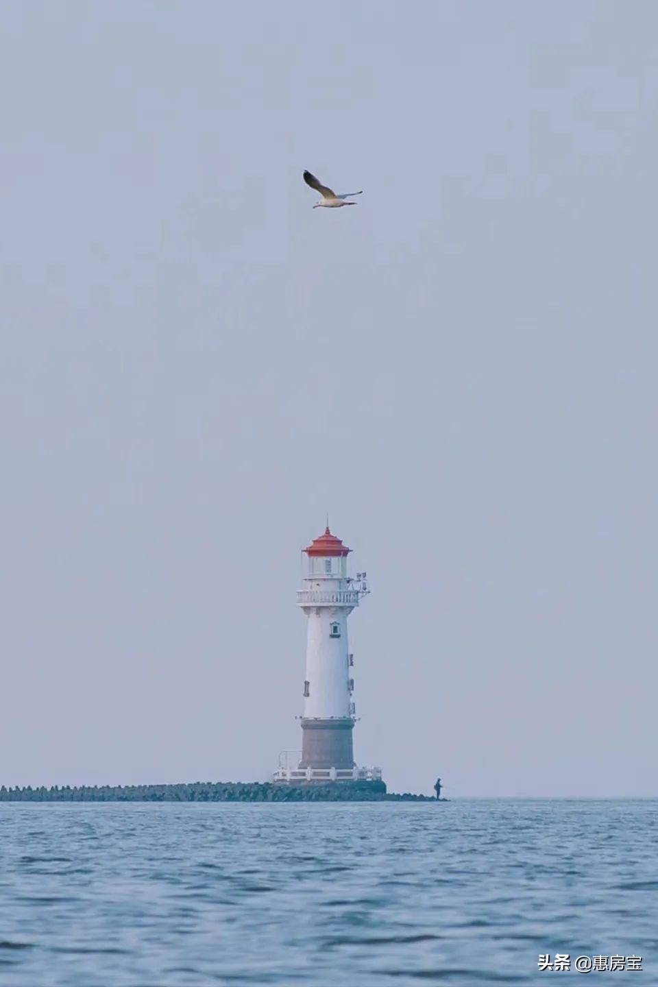 上海公园免费,上海免费公园排行