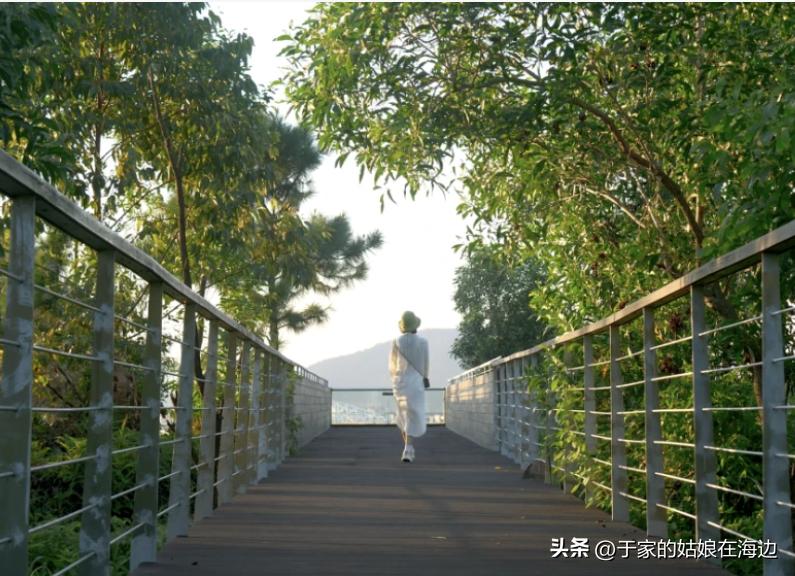 珠海沙滩一日游沙滩推荐,珠海适合下午去的沙滩