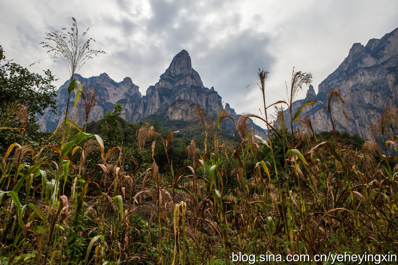 山西壶关青龙峡游玩攻略,壶关青龙峡景区