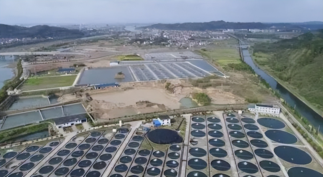 鱼子酱25万一小勺,顶级鱼子酱为什么这么贵