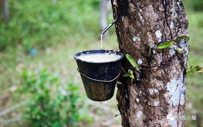 股市熊市历史,股惑解析