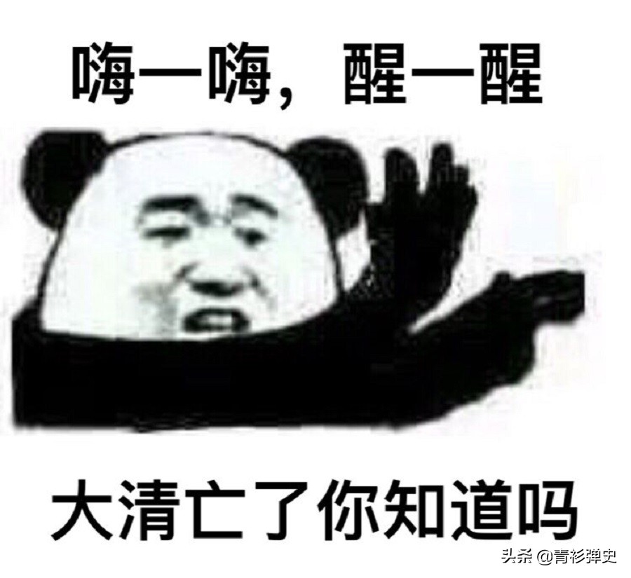 清帝国后期的危机,清帝国的没落和无奈