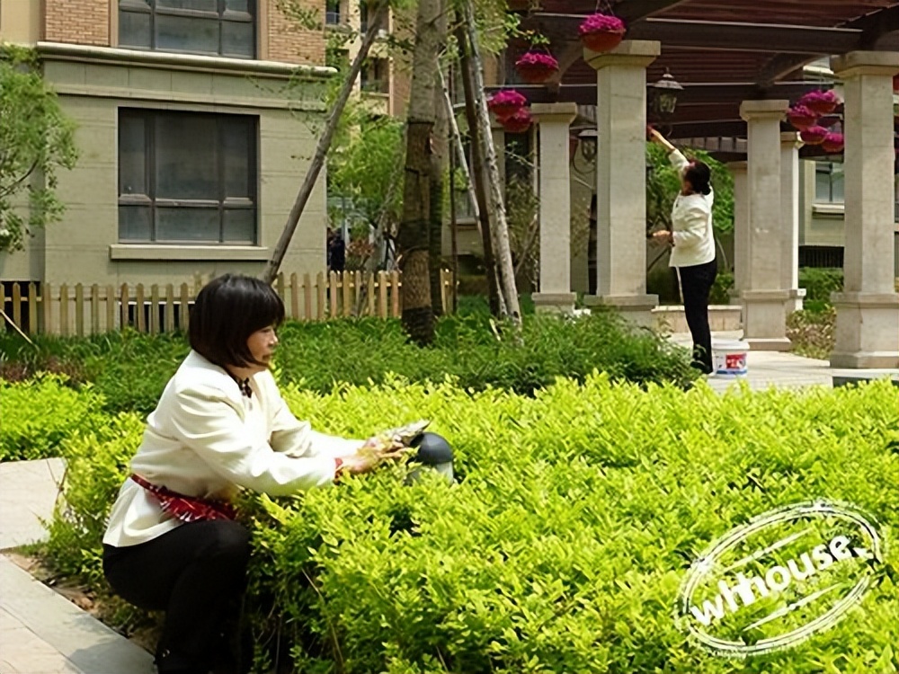 做了7年清洁工,50岁妈妈在家做清洁工