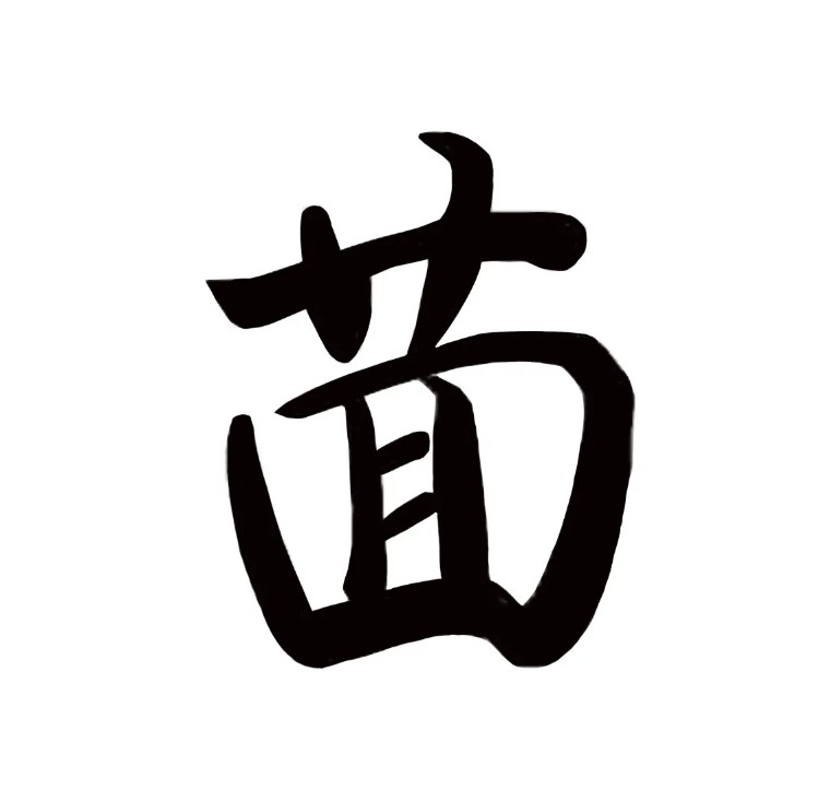 孔乙己茴香的茴字有几种写法,你知道茴香豆的茴字怎么写吗