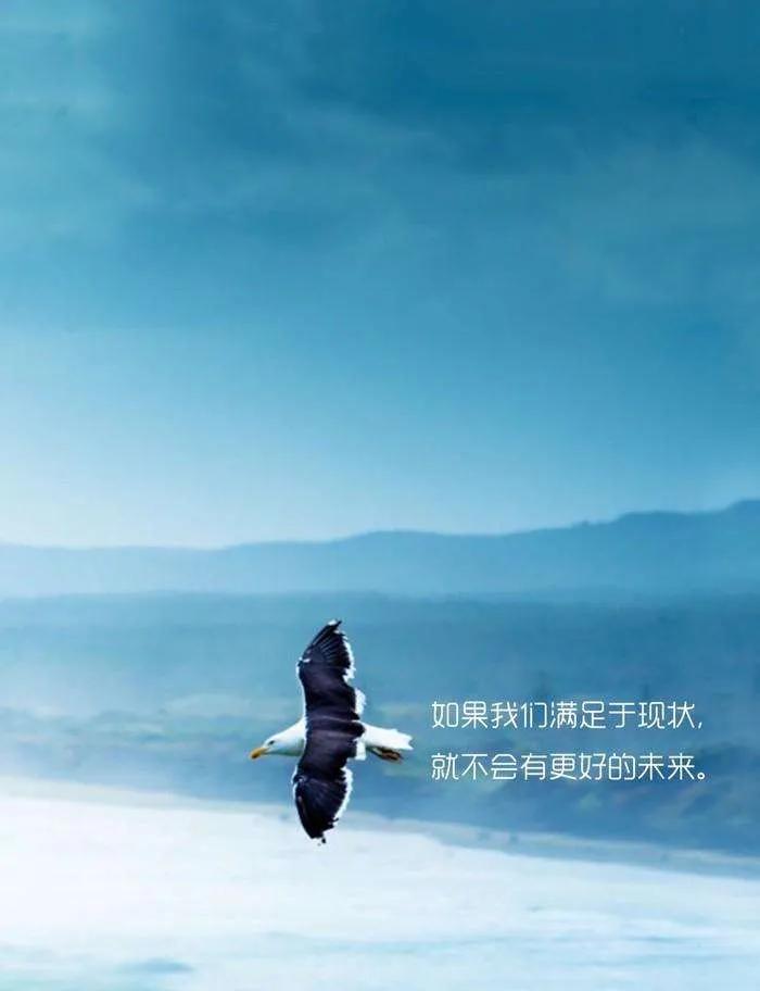 鎯呮劅鏂囨鐭彞骞插噣,鎯呮劅鏂囨绫荤煭瑙嗛