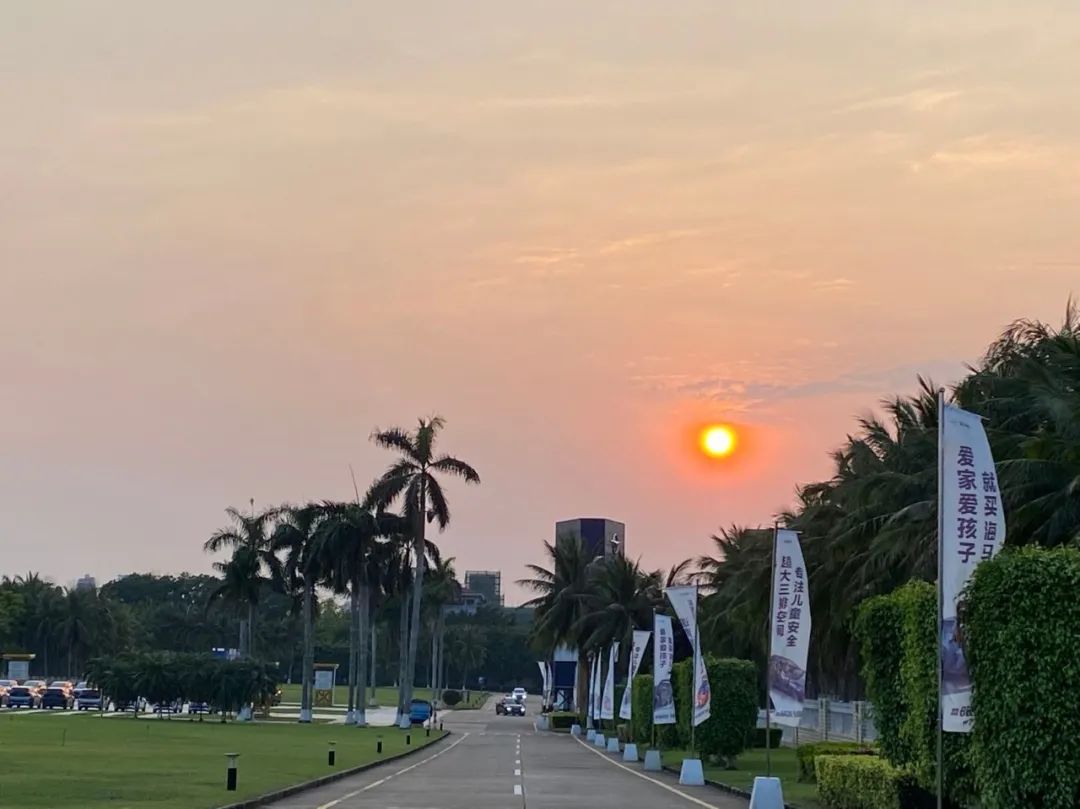 录单、申报、验柜……95后报关员带你看海马车如何出口海外