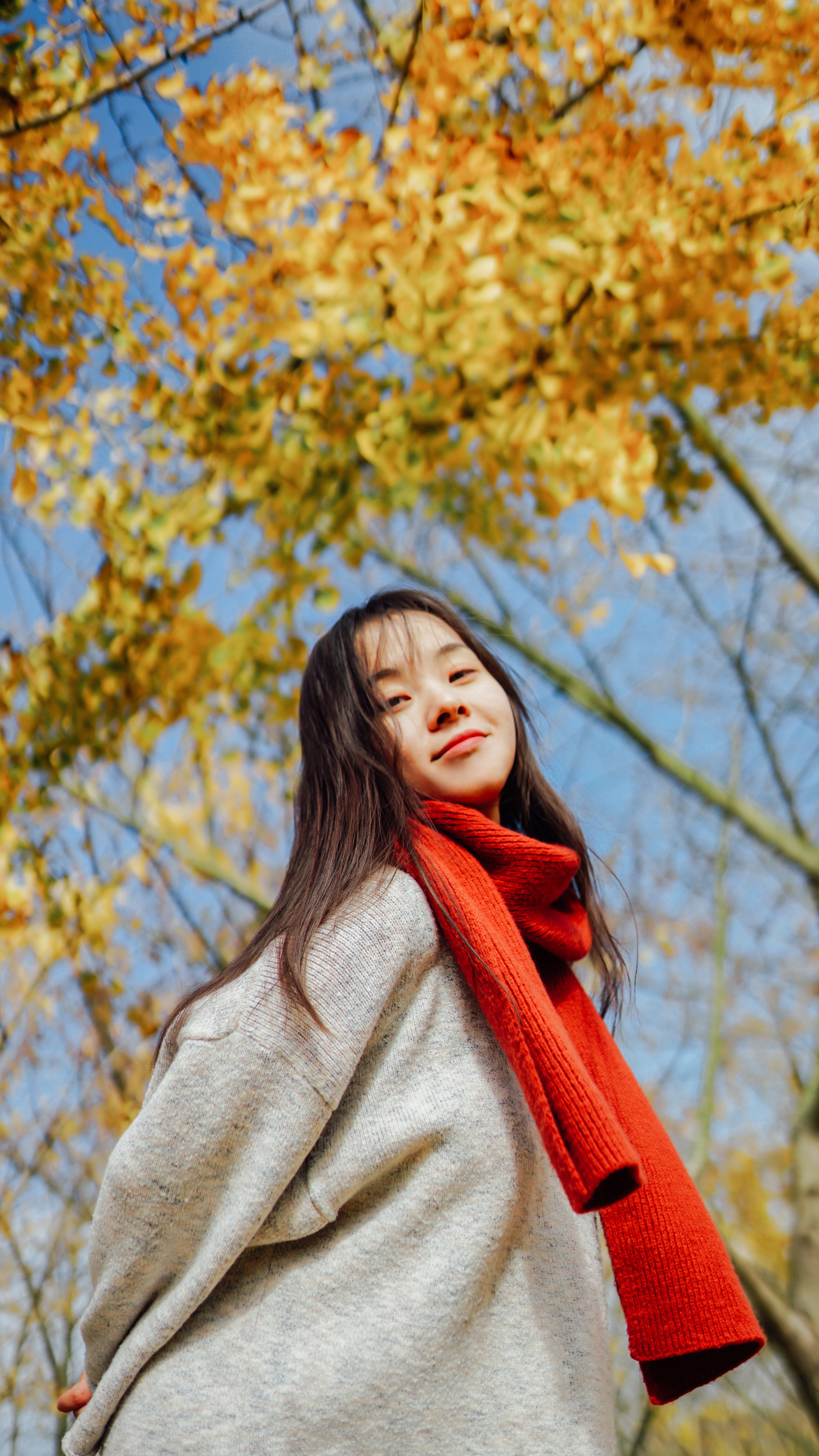 摄影苏州银杏树,苏州银杏拍照人像