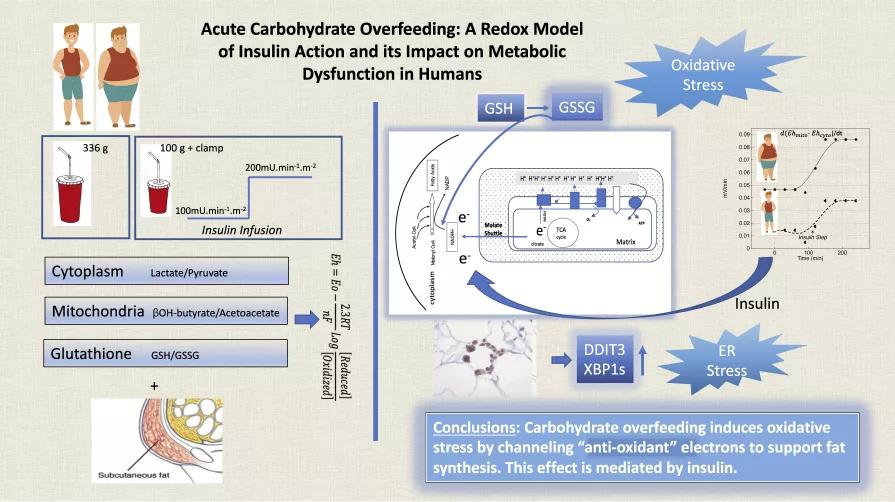 碳水含量高还低升糖的食物,低碳水主食低升糖
