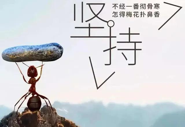 任选一项,先坚持一年,试试看