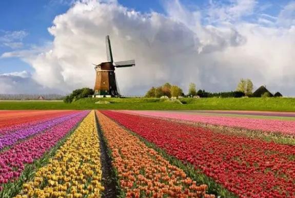 世界杯无冕之王1974荷兰,世界杯豪强巡礼之荷兰队