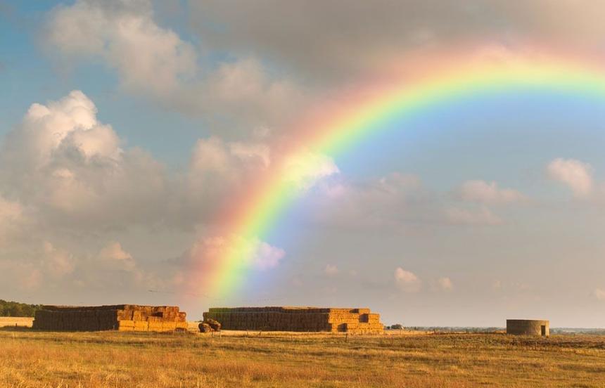 我们怎么去了解彩虹的七种颜色,为什么我们看不见七种颜色的彩虹