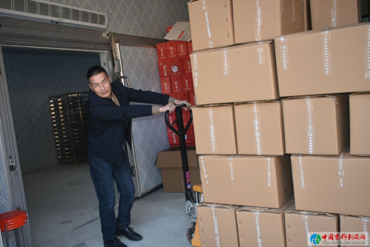 带领村民致富的好支书,好支书助农增收