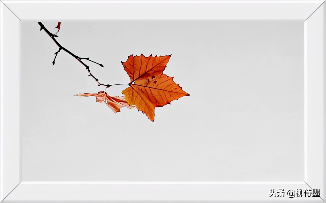 照片拍出来难看怎么修图,照片不能瞎拍