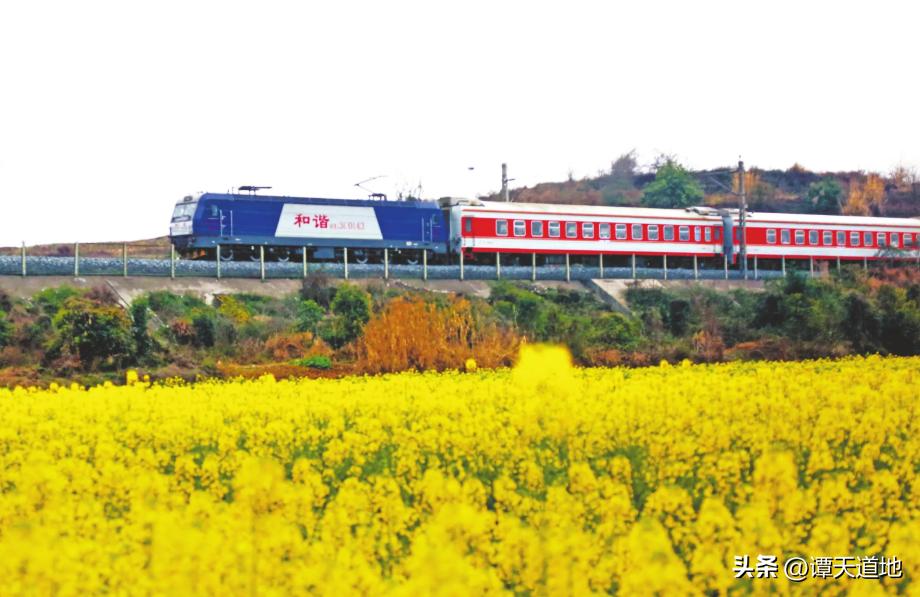 火车编号z是什么,火车gdkz各代表什么