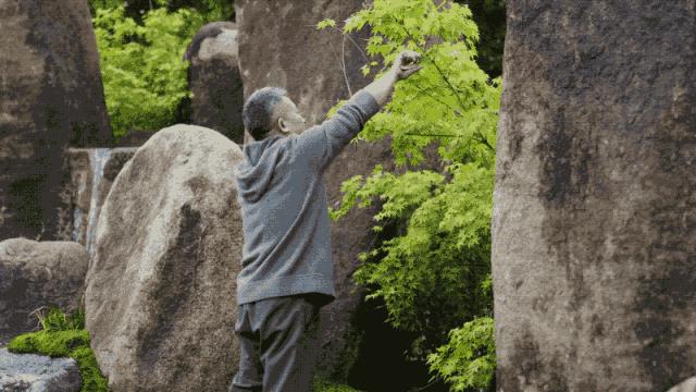 杭州夫妻花百亿做城堡,杭州夫妻自建庭院