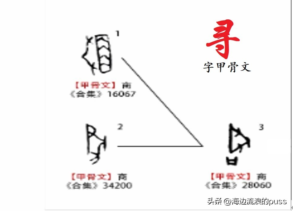 尺丈仞哪个最长,丈尺仞哪个更长
