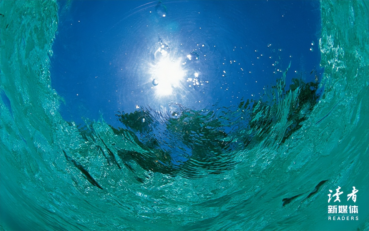 董宇辉经典语录当你痛苦时就看书,董宇辉经典语录努力学习认真生活