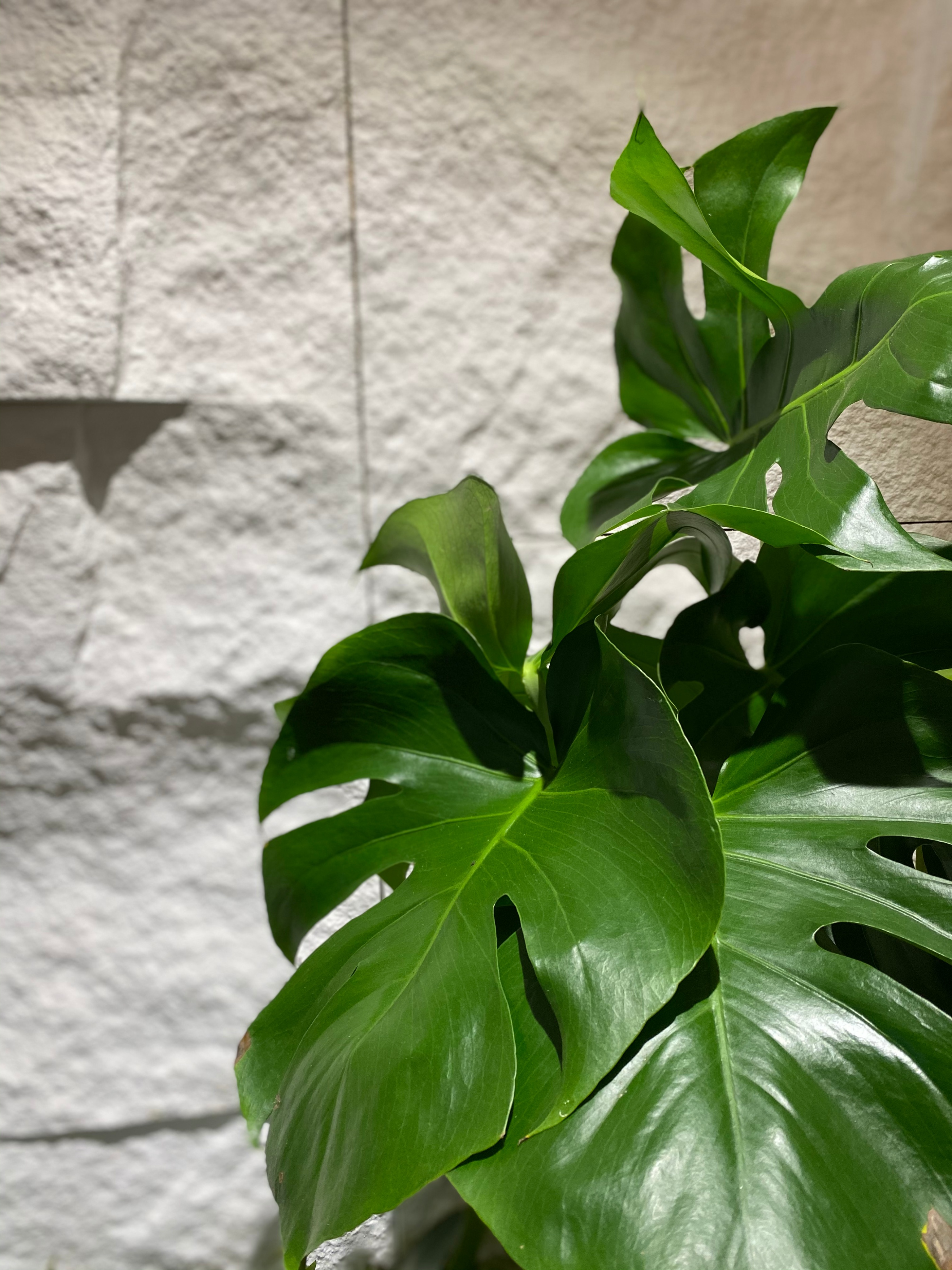 新型装修材料pu石,装修pu板优点和缺点