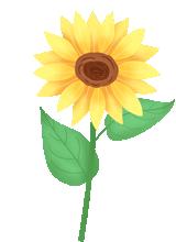 呼市现在疫情中上哪个平台购菜,呼和浩特疫情线上购菜